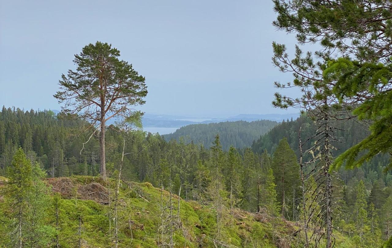 הוילה Fjellstad Gard - 2 Minutes From E6 And 5 Minutes Drive From Steinkjer City מראה חיצוני תמונה