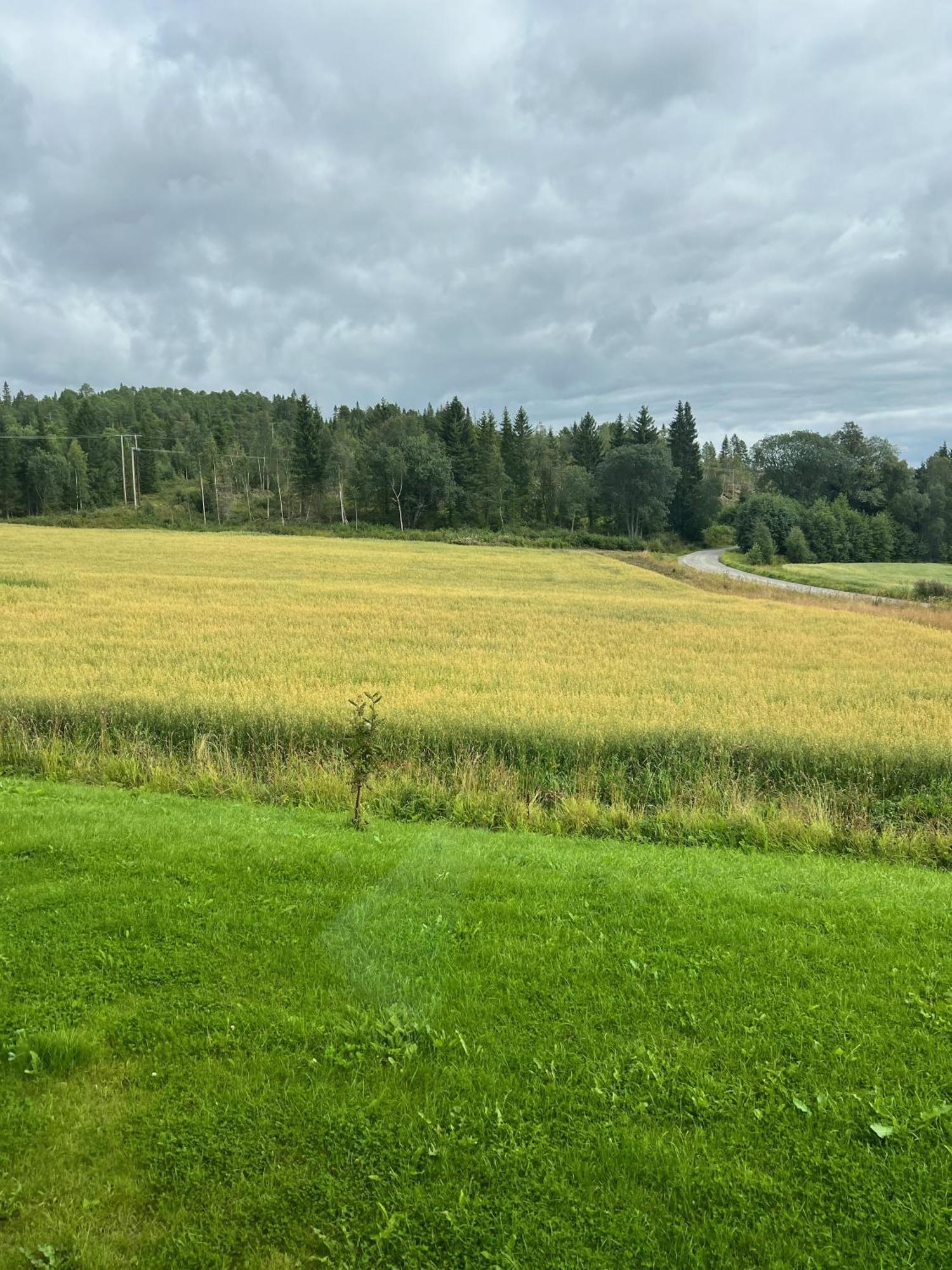 הוילה Fjellstad Gard - 2 Minutes From E6 And 5 Minutes Drive From Steinkjer City מראה חיצוני תמונה